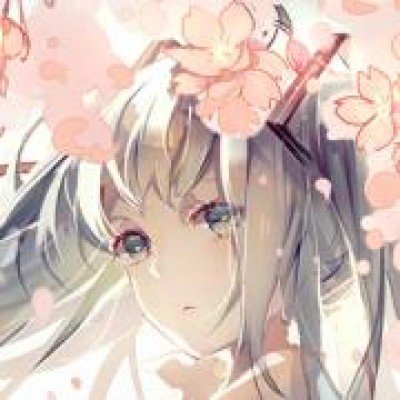 4万多志愿者沙漠种100多万株树